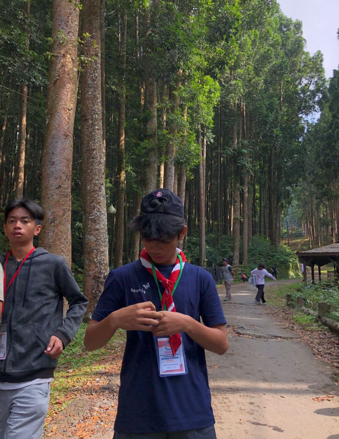 Lumio Dashboard screenshot